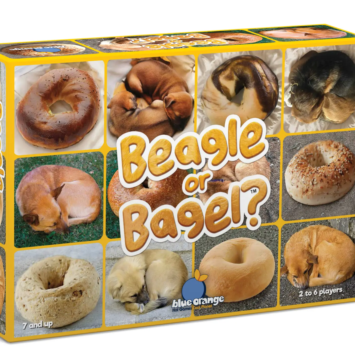 Beagle or Bagel : Who Knew Dogs and Bagels Could Look Alike? (Blue Orange Games)