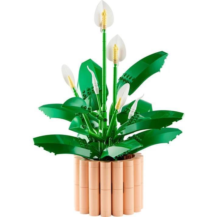 LEGO® Botanicals Peace Lily | 11504 - The Feisty Goblin Gamehouse -