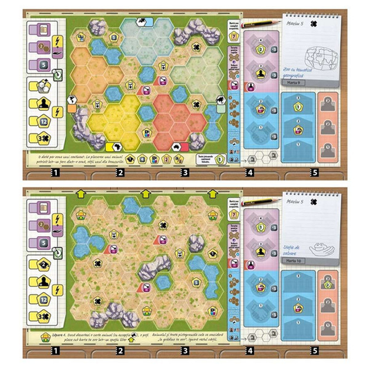 Ark Nova Zoo Map 1