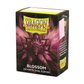 Dragon Shield Sleeves: Standard Dual Matte Sleeves (100 ct.)