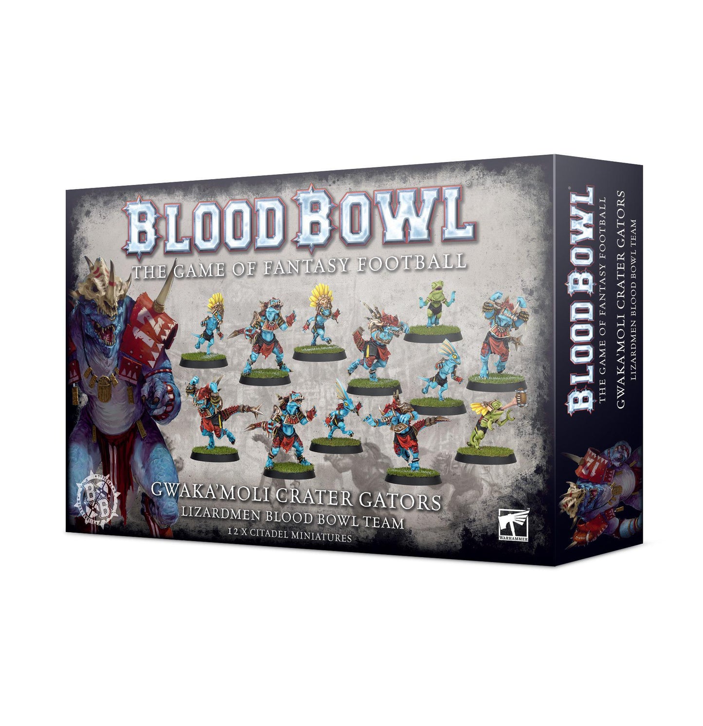 Warhammer Blood Bowl - Lizardmen Team