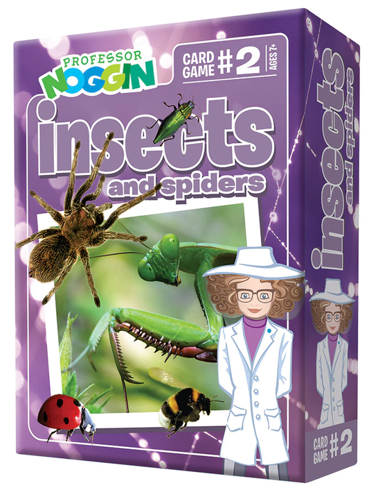Prof. Noggin Insects and Spiders (Outset Media)