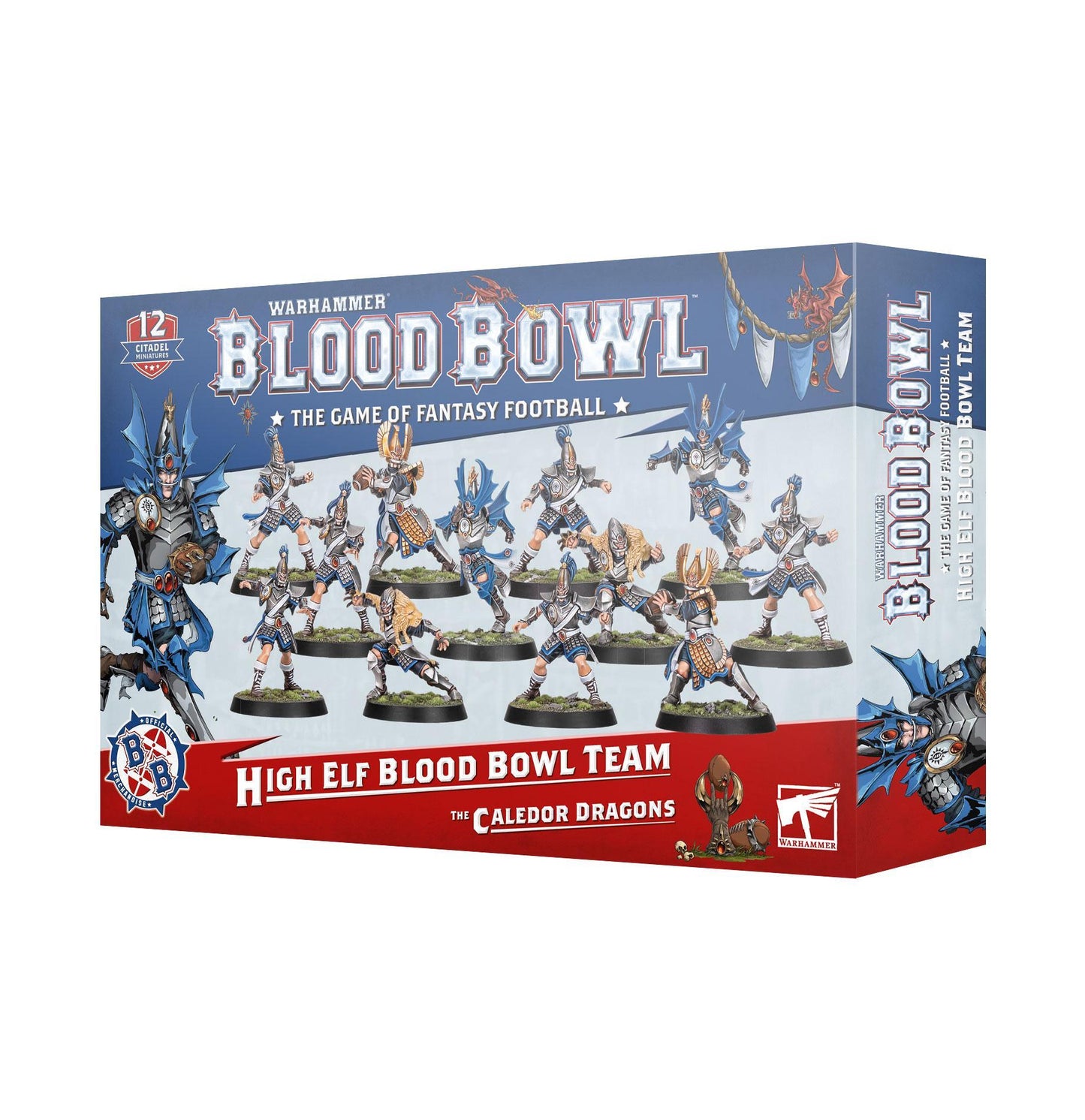Warhammer Blood Bowl - High Elf Blood Bowl Team