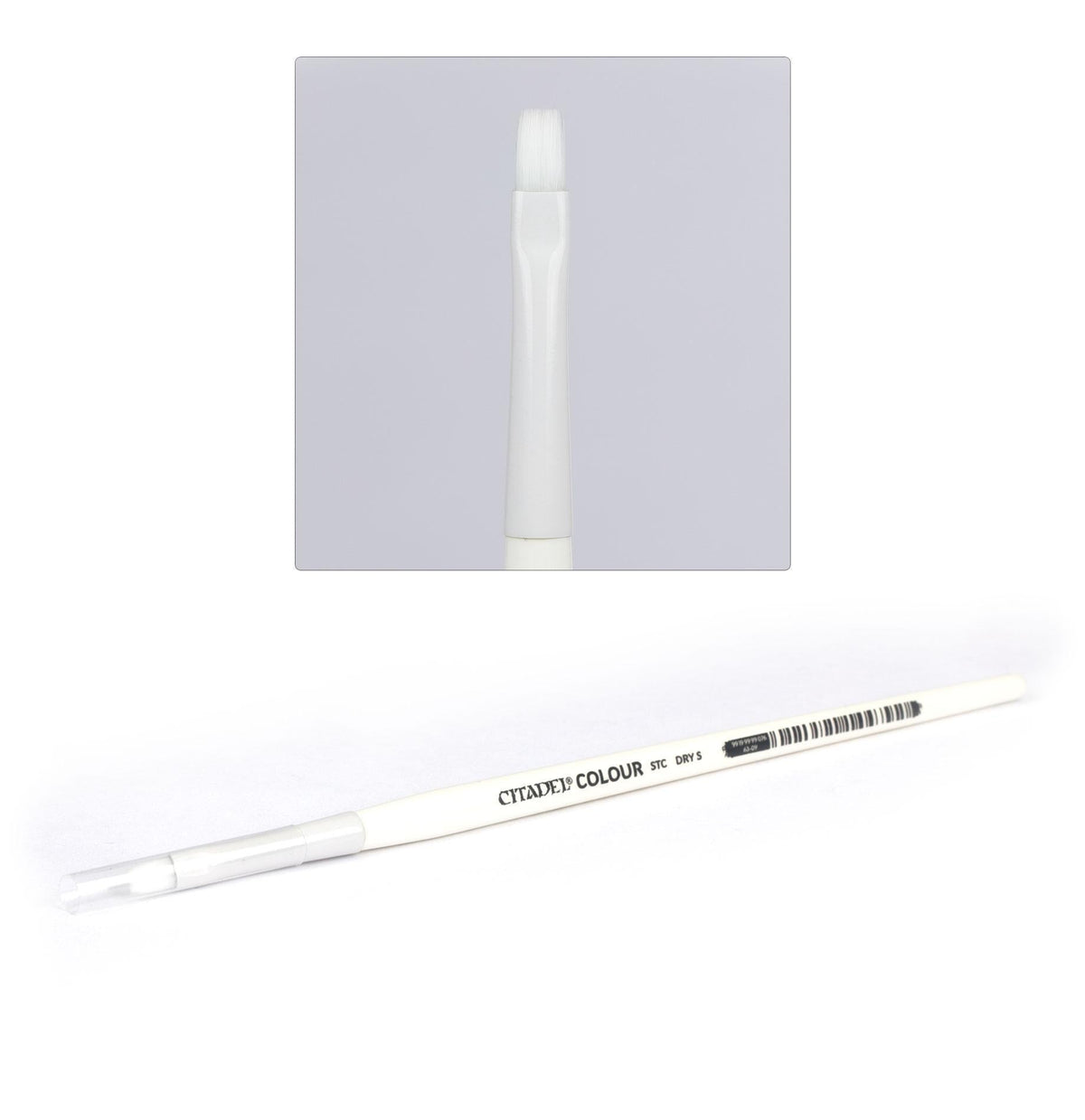 Citadel - Brush: Synthetic Drybrush (Small) - The Feisty Goblin Gamehouse -