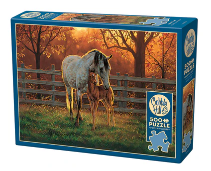 Cobble Hill - Quiet Time Puzzle (500 Piece) - The Feisty Goblin Gamehouse -