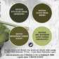 AK Interactive - 3G Special Set: US Olive Drab Mod (4ct)