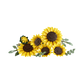 LEGO® Botanicals Sunflower Bouquet | 11502
