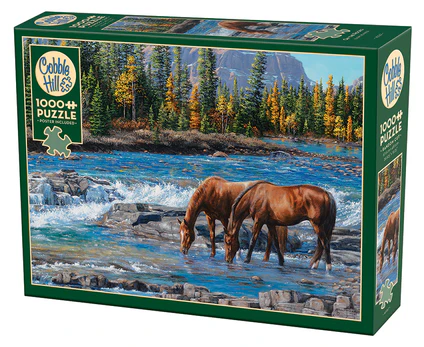 Cobble Hill - On the Rocks Puzzle (1000 Piece)
