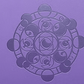 Shard Bugs 360 Pocket Album - The Feisty Goblin Gamehouse -