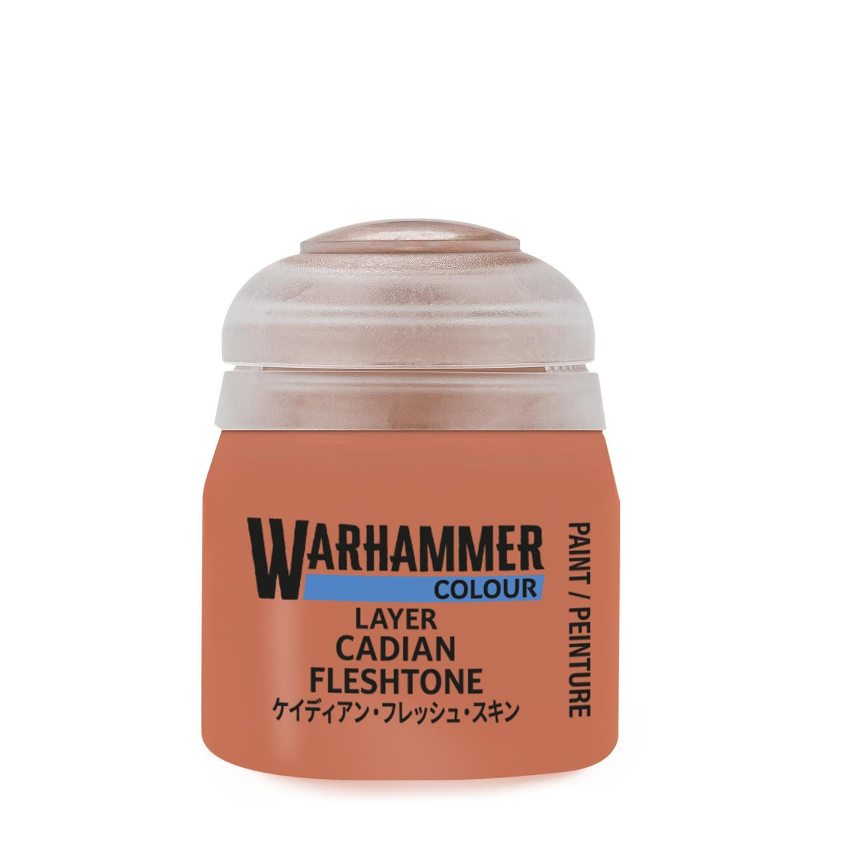 Warhammer Colour - Layer: Cadian Fleshtone (12 ml) - The Feisty Goblin Gamehouse -