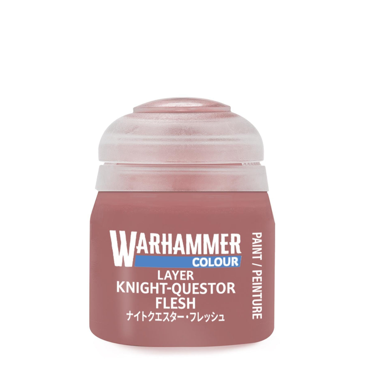 Warhammer Colour - Layer: Knight-Questor Flesh (12 ml) - The Feisty Goblin Gamehouse -